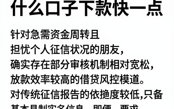 什么口子下款快一点,整合五个无视黑白无视征信申请就下款的app