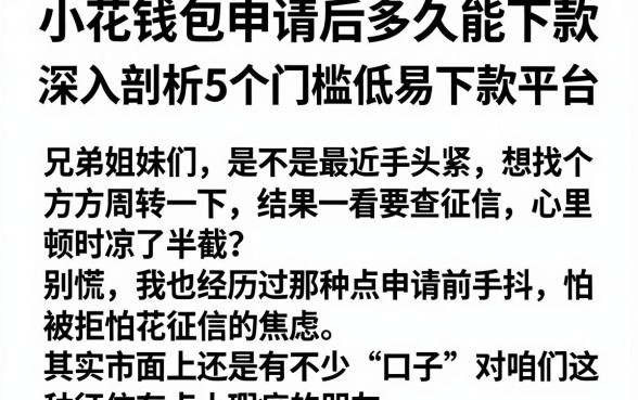 小花钱包申请后多久能下款，深入剖析5个门槛低易下款平台