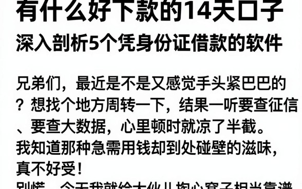 有什么好下款的14天口子，深入剖析5个凭身份证借款的软件