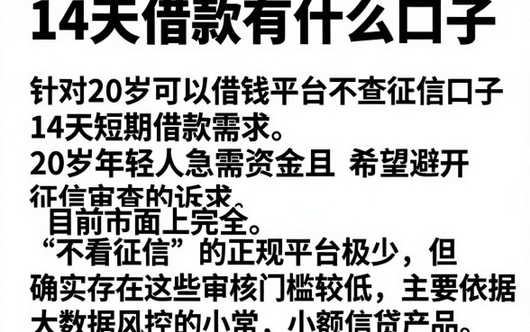 14天借款有什么口子,详尽说明五个20岁可以借钱平台不查征信的口子