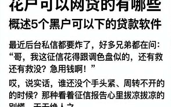 花户可以网贷的有哪些,概括5个黑户可以下的贷款软件