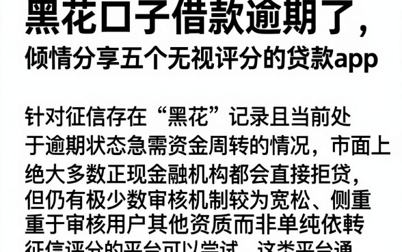 黑花口子借款逾期了,倾情分享五个无视评分的贷款app