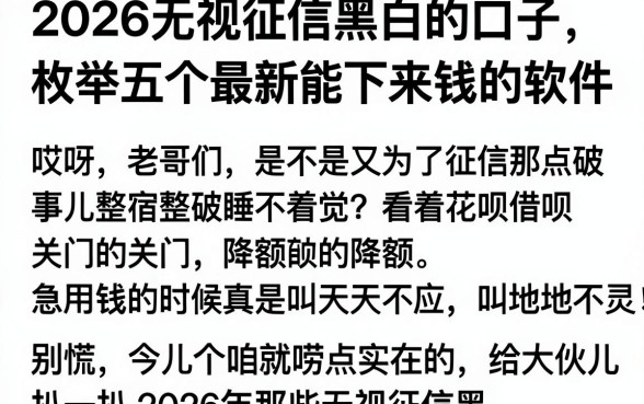 2026无视征信黑白的口子,枚举五个最新能下来钱的软件