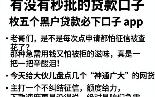 有没有秒批的贷款口子，枚举五个黑户贷款必下口子app