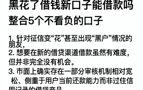 黑花了借钱新口子能借款吗,整合5个不看负债和征信的口子