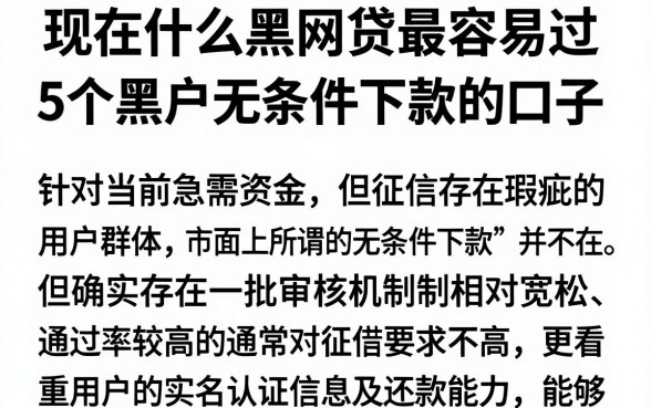 现在什么黑网贷最容易过,深入剖析5个黑户无条件下款的口子