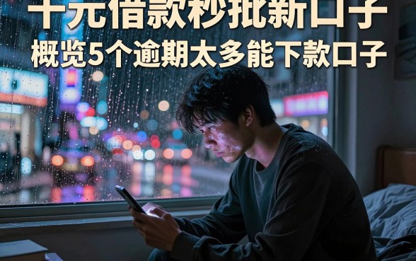 千元借款秒批新口子，概览5个逾期太多能下款口子