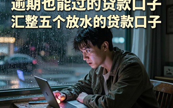 逾期也能过的贷款口子,汇整五个放水的贷款口子