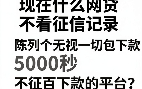 现在什么网贷不看征信记录，陈列五个无视一切包下款5000秒下款的平台