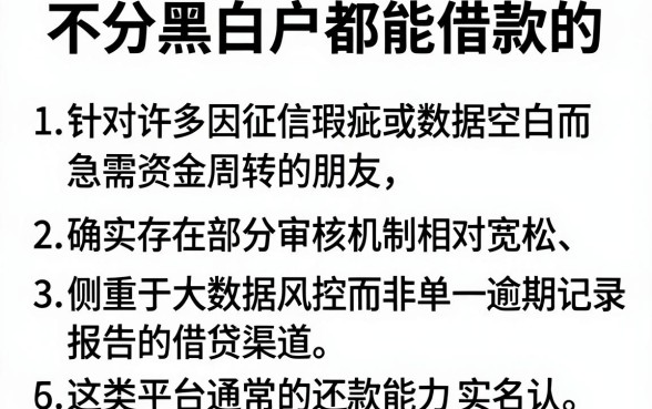 不分黑白户都能借款的,条列五个无视黑白贷款口子