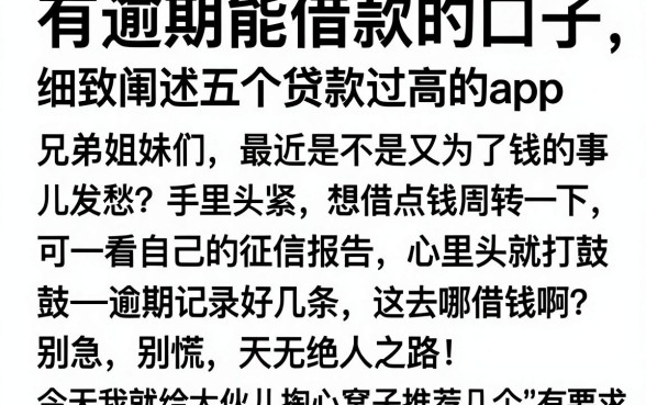 有逾期能借款的口子,细致阐述五个贷款通过高的app