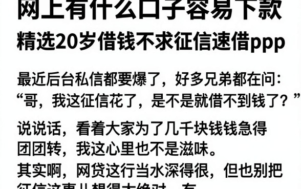 网上有什么口子容易下款,精选五个20岁借钱不求征信速借app