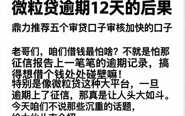 微粒贷逾期12天的后果,鼎力推荐五个审贷口子审核加快的口子