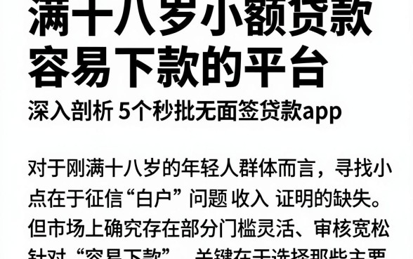 满十八岁小额贷款容易下款的平台,深入剖析5个秒批无面签贷款app