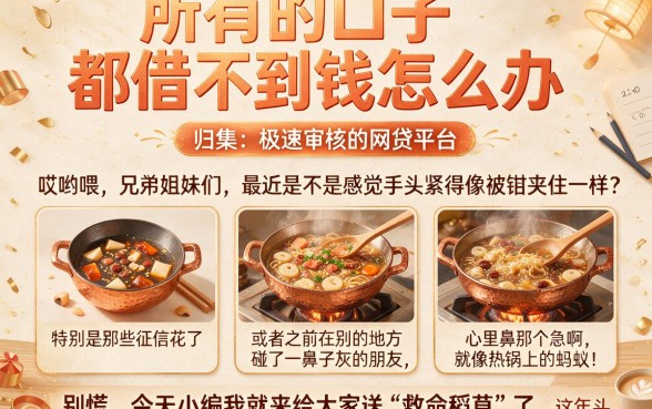 所有的口子都借不到钱怎么办，归集五个极速审核的网贷平台