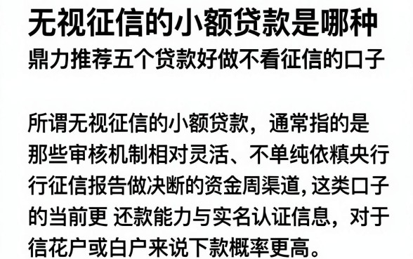 无视征信的小额贷款是哪种，鼎力推荐五个贷款好做不看征信的口子