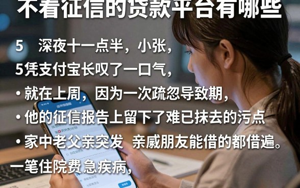 不看征信的贷款平台有哪些,归纳5个凭支付宝花呗贷款的app