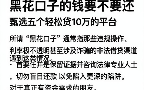 黑花口子的钱要不要还,甄选五个轻松贷10万的平台