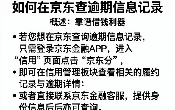 如何在京东查逾期信息记录,概括5个靠谱借钱利器