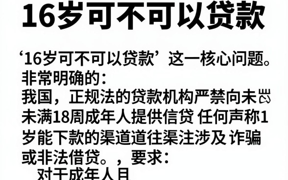 16岁可不可以贷款，陈列5个网黑真正能下款的软件