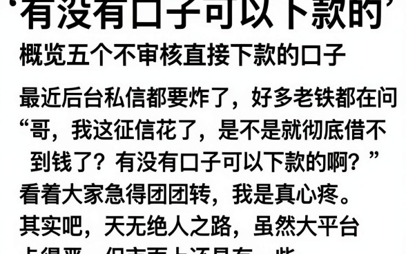 有没有口子可以下款的,概览五个不审核直接下款的口子
