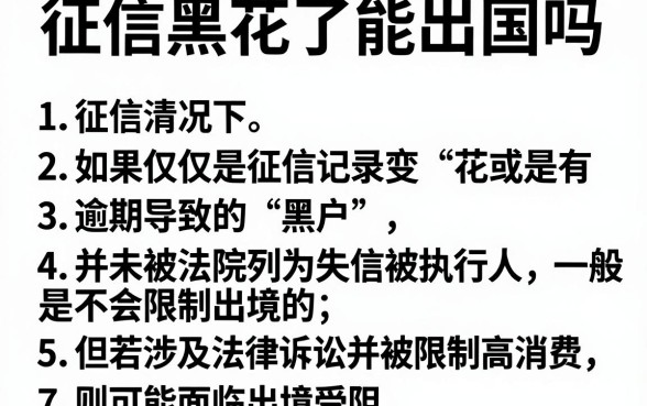 征信黑花了能出国吗,详细阐述五个贷款好做不看征信的平台