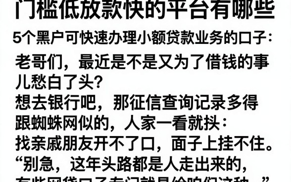 门槛低放款快的平台有哪些,归纳5个黑户可快速办理小额贷款业务的口子