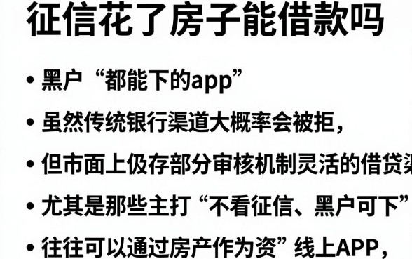 征信花了房子能借款吗,胪列五个黑户都能下的app