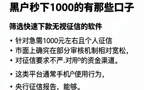 黑户秒下1000的有那些口子,筛选五个快速下款无视征信的软件