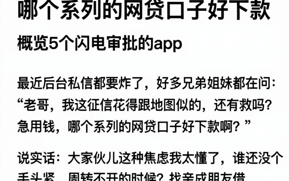哪个系列的网贷口子好下款，概览5个闪电审批的app
