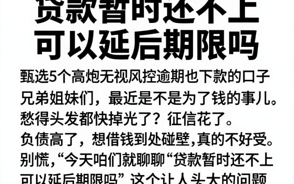 贷款暂时还不上可以延后期限吗,甄选5个高炮无视风控逾期也下款的口子