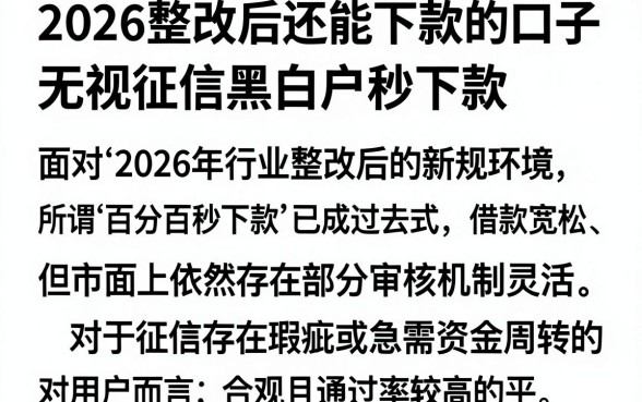 2026整改后还能下款的口子，概括5个无视征信黑白户秒下款的贷款