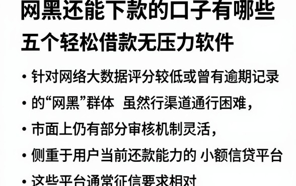 网黑还能下款的口子有哪些,筛选五个轻松借款无压力软件