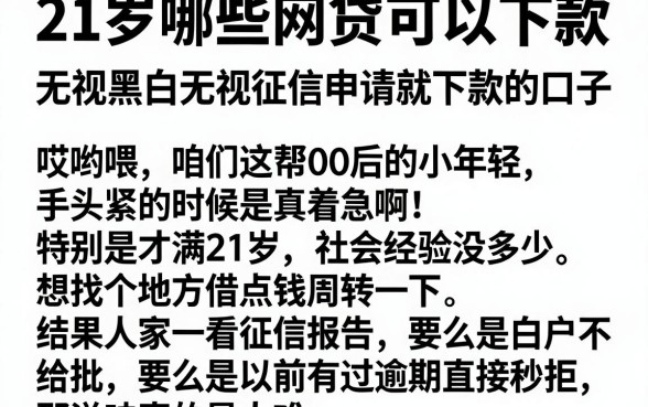 21岁哪些网贷可以下款，汇总五个无视黑白无视征信申请就下款的口子