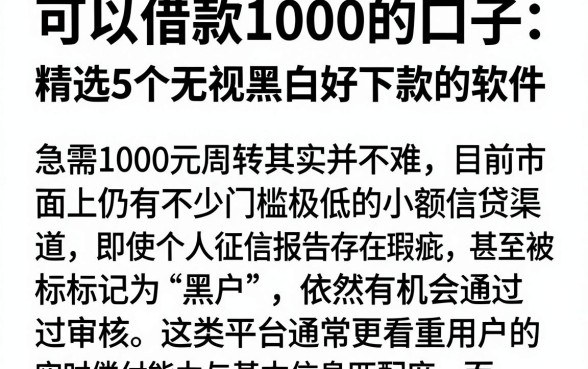 可以借款1000的口子,精选5个无视黑白好下款的软件