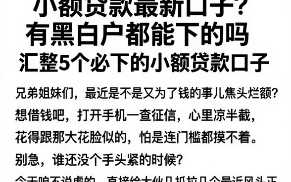 小额贷款最新口子有黑白户都能下的吗,汇整5个必下的小额贷款口子