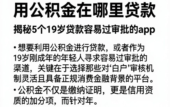 用公积金在哪里贷款,揭秘5个19岁贷款容易过审批的app