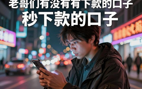 老哥们有没有秒下款的口子，深入剖析5个12月能贷款的平台