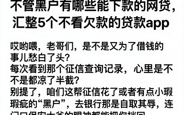 不管黑户有哪些能下款的网贷,汇整5个不看欠款的贷款app