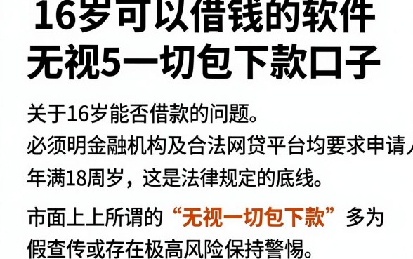16岁可以借钱的软件，枚举5个无视一切包下款口子