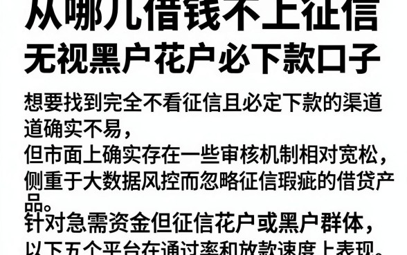 从哪儿借钱不上征信,详尽说明五个无视黑户花户必下款口子