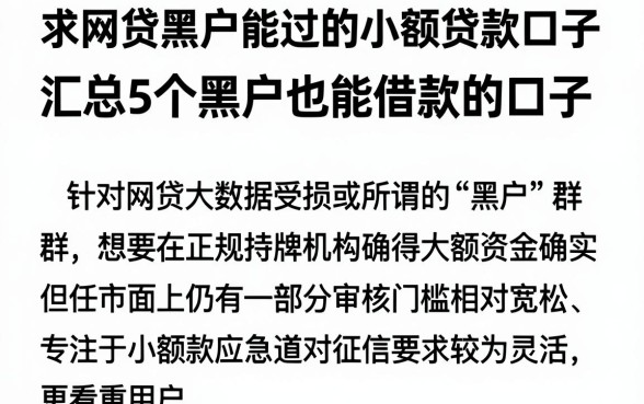 求网贷黑户能过的小额贷款口子，汇总5个黑户也能借款的口子