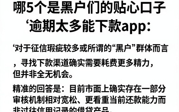 哪5个是黑户们的贴心口子,枚举五个逾期太多能下款app