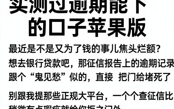 实测过逾期能下的口子苹果版,鼎力推荐五个包下款平台无视黑白的网贷