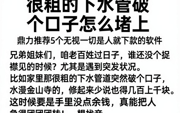 很粗的下水管破个口子怎么堵上,鼎力推荐5个无视一切是人就下款的软件