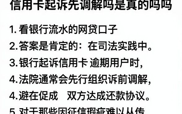 信用卡起诉先调解吗是真的吗吗,梳理5个看银行流水的网贷口子