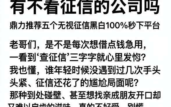 有不看征信的公司吗，鼎力推荐五个无视征信黑白100%秒下平台