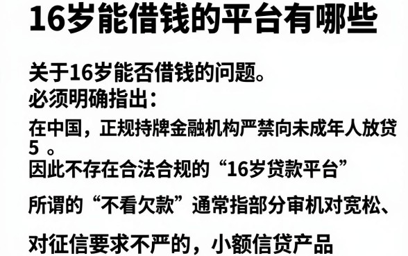 16岁能借钱的平台有哪些,枚举5个不看欠款的贷款软件