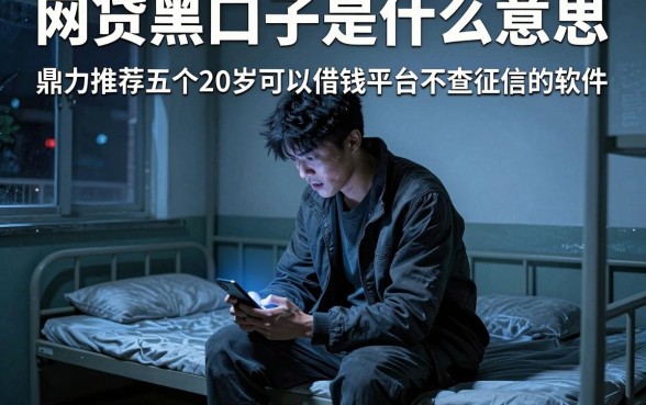网贷黑口子是什么意思,鼎力推荐五个20岁可以借钱平台不查征信的软件