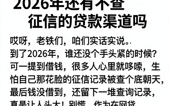 2026年还有不查征信的贷款渠道吗,遴选5个大学生可以使用的平台